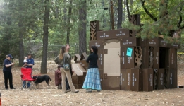 box-15