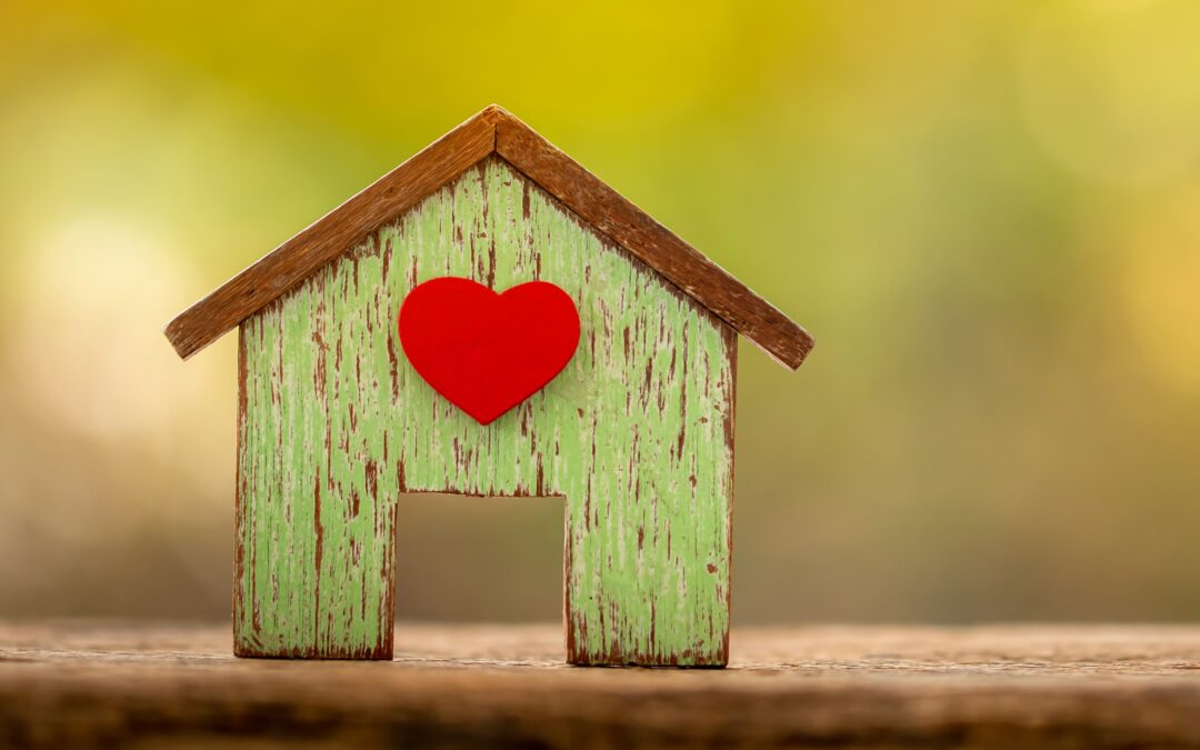 Two Friends Find a New Home